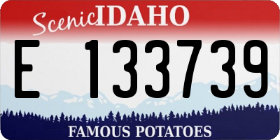 ID license plate E133739