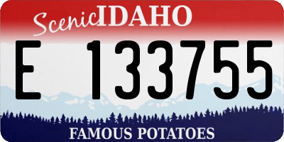 ID license plate E133755