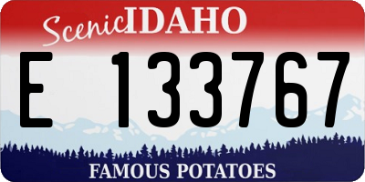 ID license plate E133767