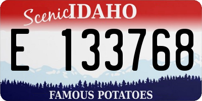 ID license plate E133768