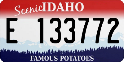 ID license plate E133772
