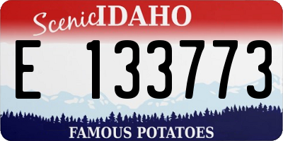 ID license plate E133773