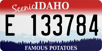 ID license plate E133784
