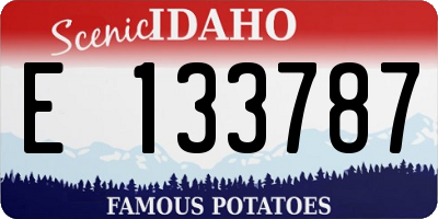 ID license plate E133787