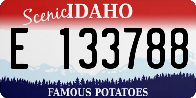 ID license plate E133788