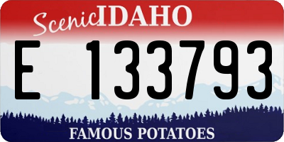 ID license plate E133793