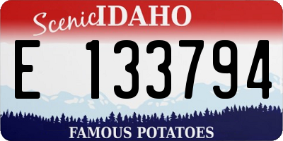 ID license plate E133794