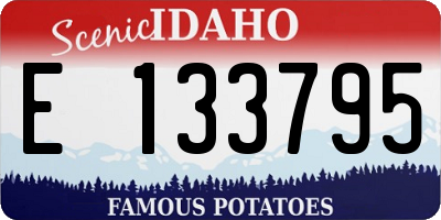ID license plate E133795