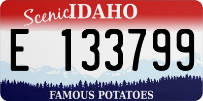 ID license plate E133799