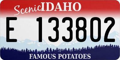 ID license plate E133802