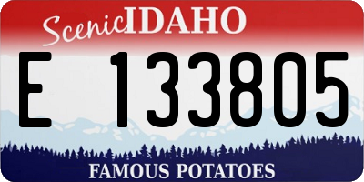 ID license plate E133805