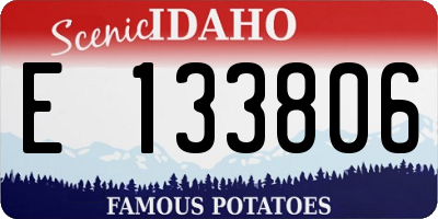 ID license plate E133806