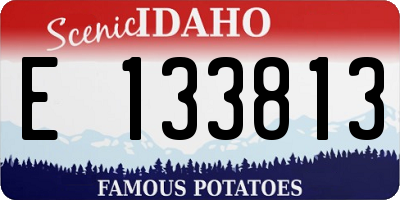 ID license plate E133813
