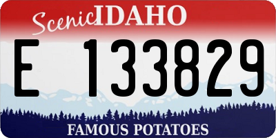ID license plate E133829