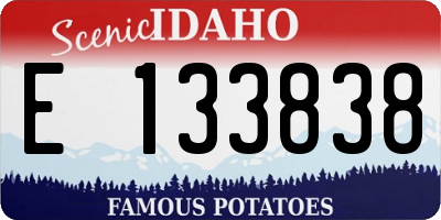 ID license plate E133838