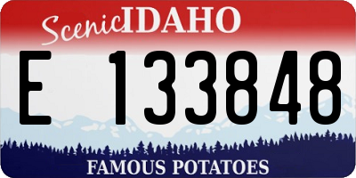 ID license plate E133848