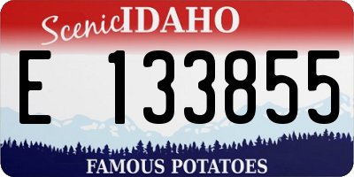 ID license plate E133855