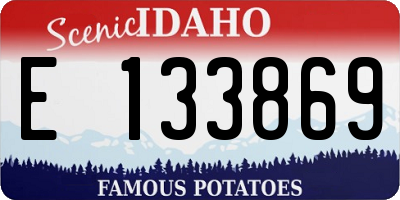 ID license plate E133869