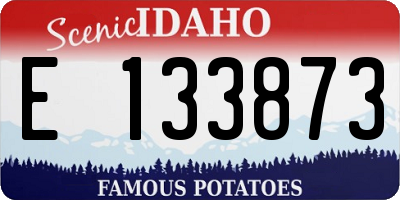 ID license plate E133873
