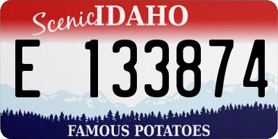 ID license plate E133874