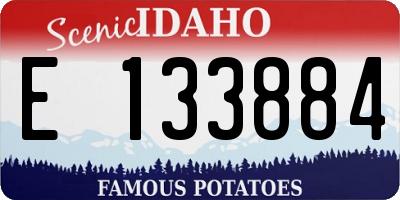 ID license plate E133884