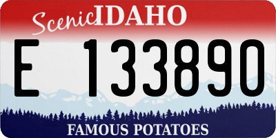 ID license plate E133890
