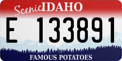 ID license plate E133891