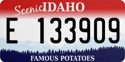 ID license plate E133909