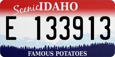 ID license plate E133913