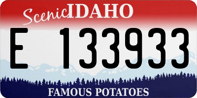 ID license plate E133933