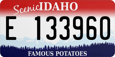 ID license plate E133960