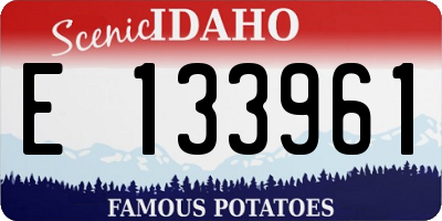 ID license plate E133961