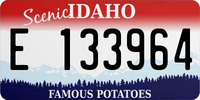ID license plate E133964