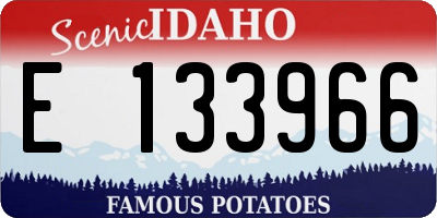 ID license plate E133966