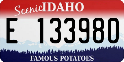 ID license plate E133980