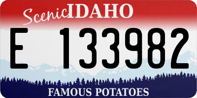 ID license plate E133982