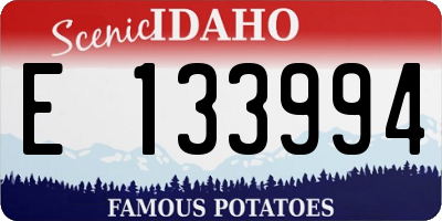 ID license plate E133994