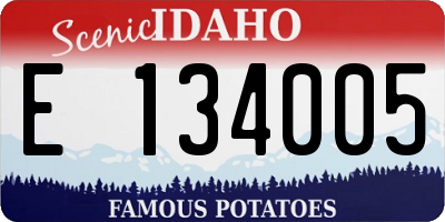 ID license plate E134005