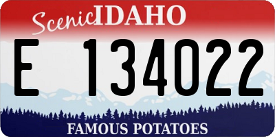 ID license plate E134022