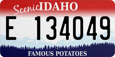 ID license plate E134049