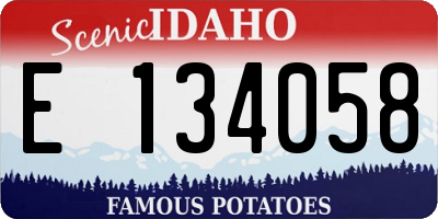 ID license plate E134058