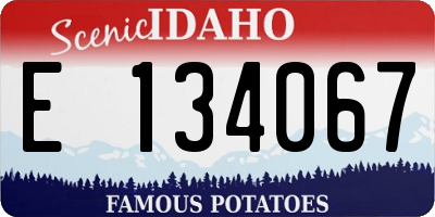 ID license plate E134067