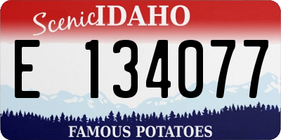 ID license plate E134077