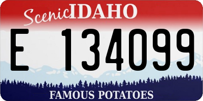 ID license plate E134099