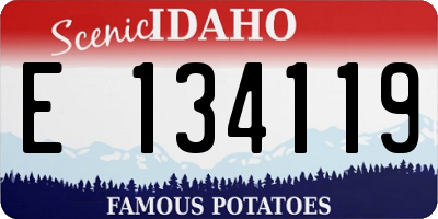 ID license plate E134119