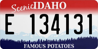 ID license plate E134131