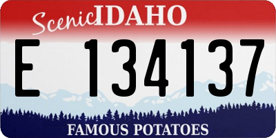 ID license plate E134137