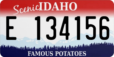 ID license plate E134156