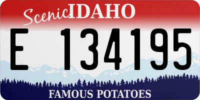 ID license plate E134195