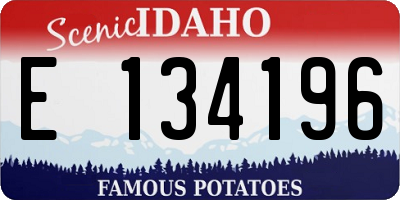 ID license plate E134196